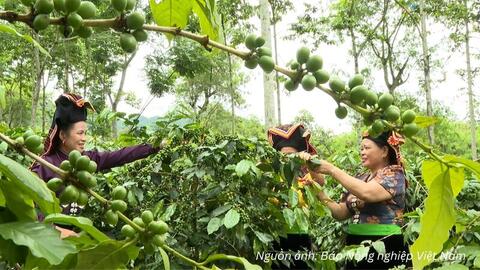 Tiêu điểm 24h