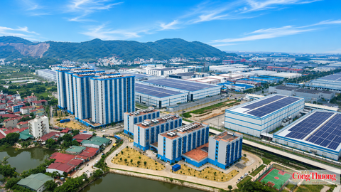 Tiêu điểm 24h
