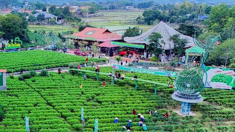 Tiêu điểm 24h