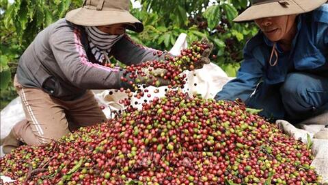 Tiêu điểm 24h