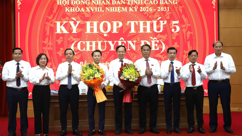 Tiêu điểm 24h