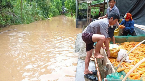 Tiêu điểm 24h