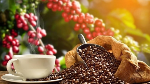 Tiêu điểm 24h