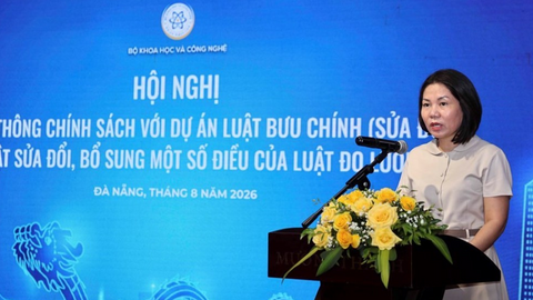 Tiêu điểm 24h