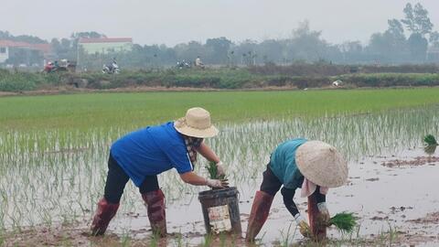 Tiêu điểm 24h