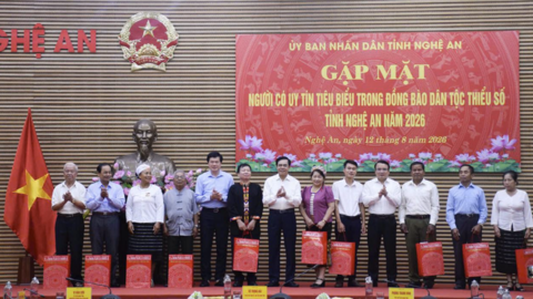 Tiêu điểm 24h
