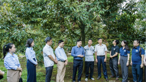 Tiêu điểm 24h