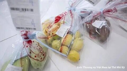 Tiêu điểm 24h