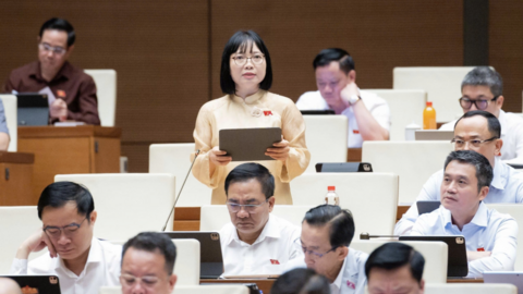 Tiêu điểm 24h