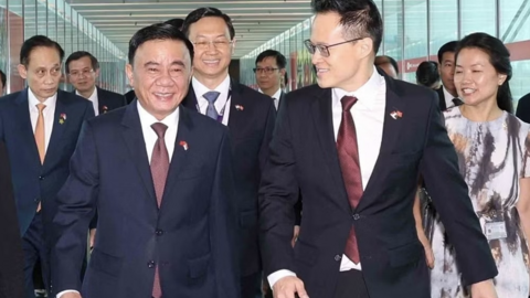 Tiêu điểm 24h