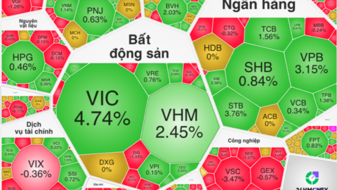 Tiêu điểm 24h