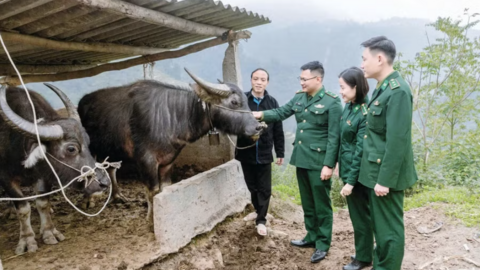 Tiêu điểm 24h