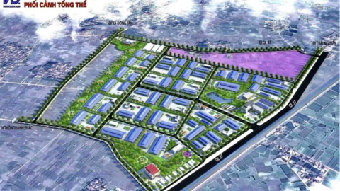 Tiêu điểm 24h