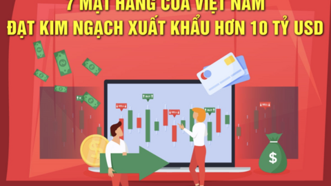 Tiêu điểm 24h
