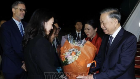 Tiêu điểm 24h