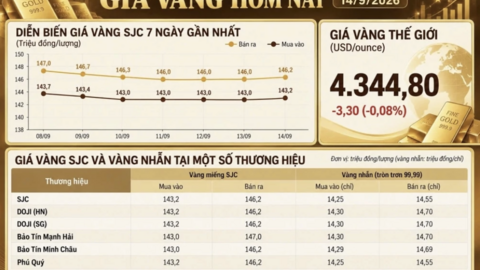 Tiêu điểm 24h