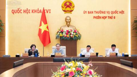 Tiêu điểm 24h