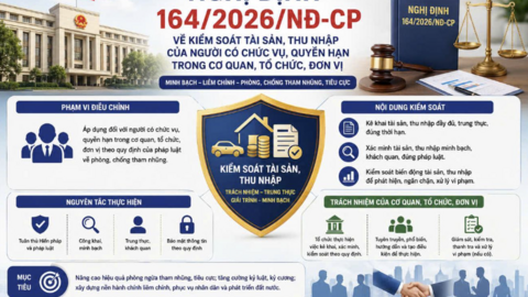 Tiêu điểm 24h