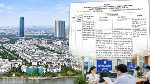 Tiêu điểm 24h