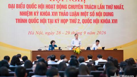 Tiêu điểm 24h