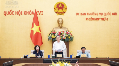 Tiêu điểm 24h