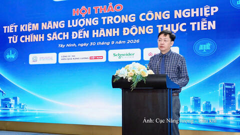 Tiêu điểm 24h