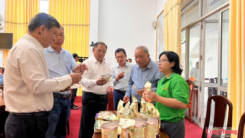 Tiêu điểm 24h