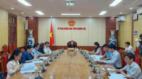 Tiêu điểm 24h