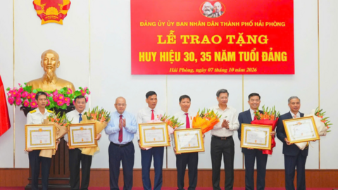 Tiêu điểm 24h