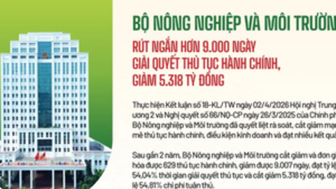 Tiêu điểm 24h