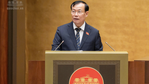 Tiêu điểm 24h