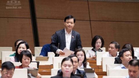 Tiêu điểm 24h