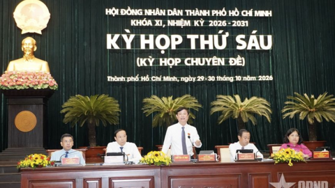 Tiêu điểm 24h