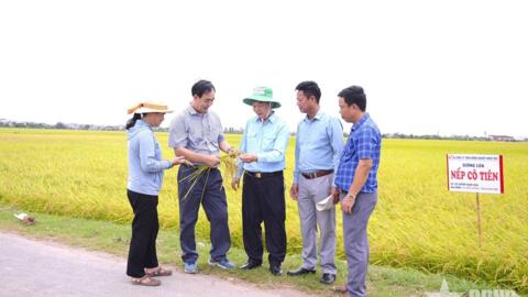 Tiêu điểm 24h