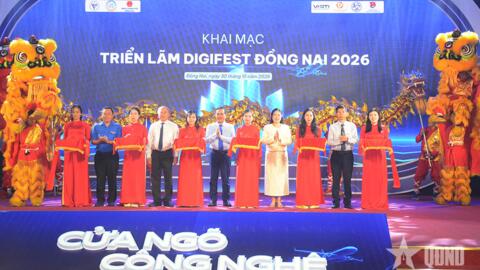 Tiêu điểm 24h
