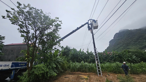 Tổng giám đốc EVNCPC: Bão số 4 không gây thiệt hại lớn tới lưới điện miền Trung
