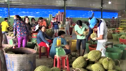 Xuất khẩu rau quả Việt Nam hướng tới kỷ lục 8,5 tỷ USD trong năm 2025