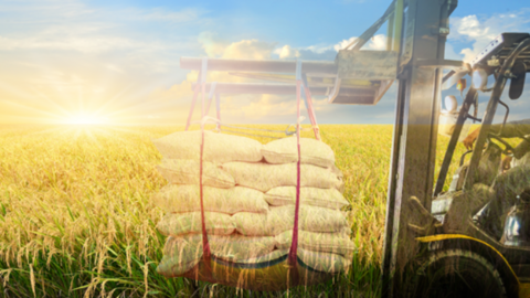 BAC A BANK trợ lực cùng các cá nhân sản xuất kinh doanh ngành lúa gạo