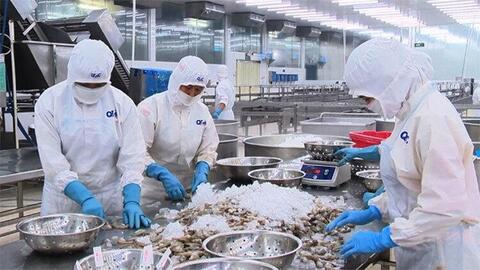 Miễn thuế thu nhập doanh nghiệp: Cú hích mới cho ngành thủy sản Việt Nam