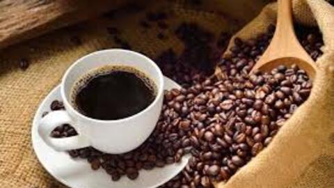 Giá cà phê hôm nay 29/12/2025: Tạm chững phiên đầu tuần