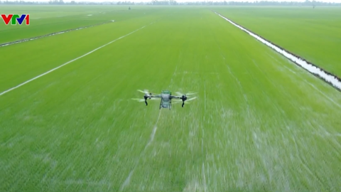 Video bestcut chương trình "Buổi sáng đầu tiên"