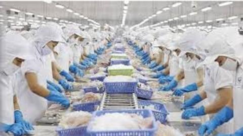 Ngành thủy sản đặt mục tiêu xuất khẩu 11,5 tỷ USD năm 2026