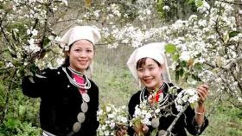Lễ hội hoa lê Hồng Thái - điểm hẹn mùa Xuân vùng cao Tuyên Quang