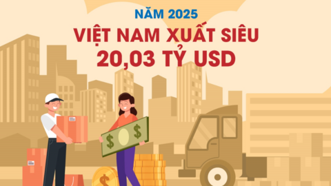 Năm 2025 Việt Nam xuất siêu 20,03 tỷ USD