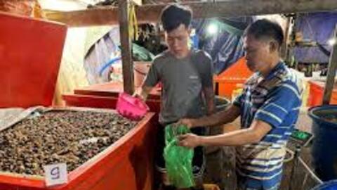 Triệt phá đường dây sơ chế, tiêu thụ thịt ốc bươu ngâm hóa chất công nghiệp với số lượng lớn