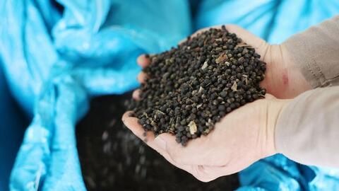 Bản tin nông sản hôm nay (5-2): Giá cà phê giảm mạnh; hồ tiêu giảm 1.000 đồng/kg