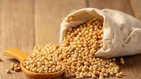 Giá đậu tương giảm nhẹ, lùi về mốc 427,5 USD/tấn