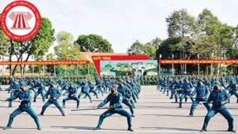 Thủ tục xử lý kỷ luật đối với dân quân tự vệ có hành vi vi phạm kỷ luật được quy định như thế nào?