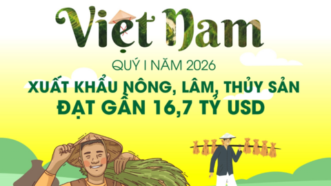 Xuất khẩu nông, lâm, thủy sản đạt gần 16,7 tỷ USD trong quý I năm 2026