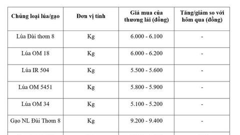 Giá lúa gạo hôm nay ngày 21/4: Gạo nguyên liệu xuất khẩu tăng nhẹ